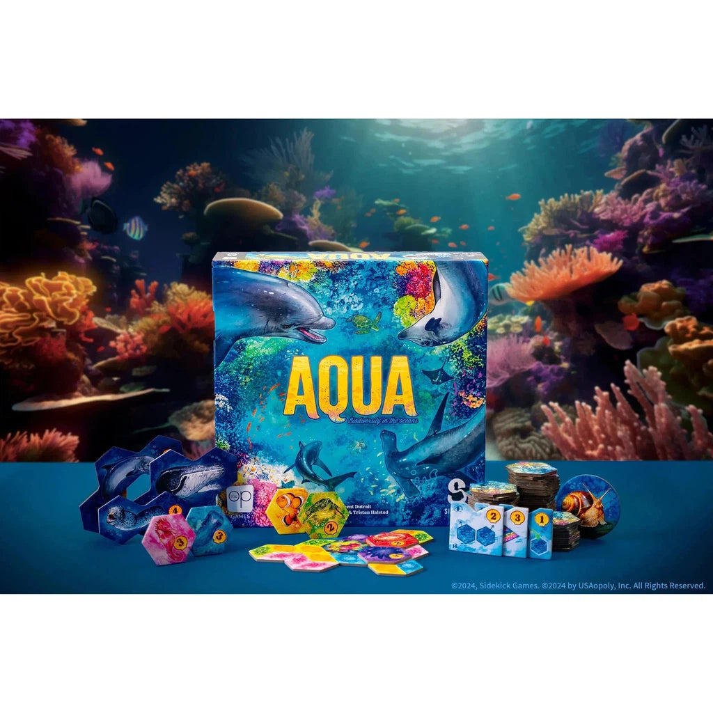 Aqua with pieces set up in an aesthetically pleasing way in front of an aquarium