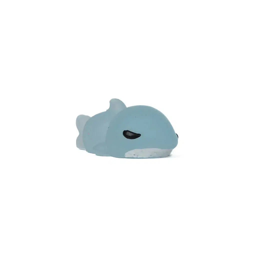 A small, blue rubber Toysmith dolphin from the Animal Squishes series sits playfully on a white background.