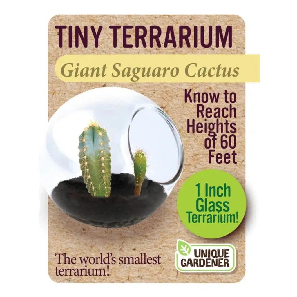 box for giant saguaro cactus