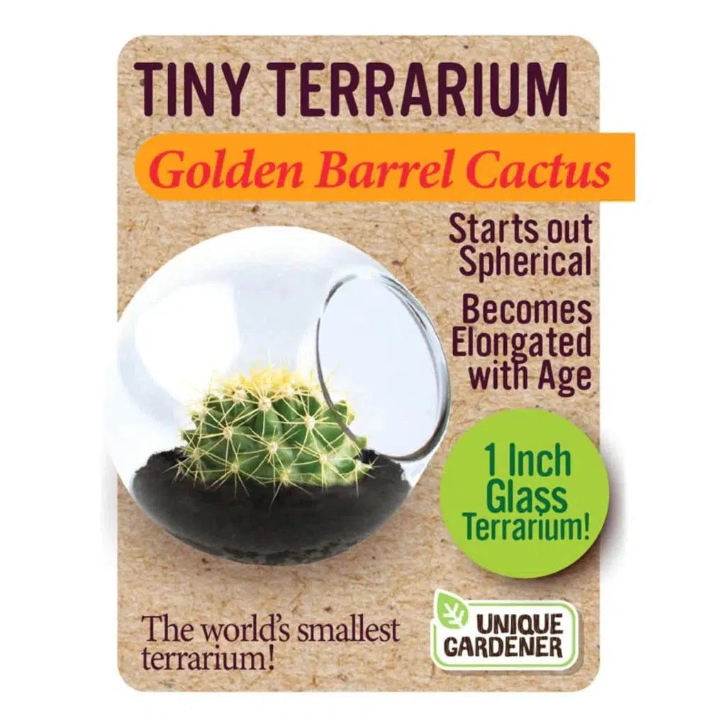 box for golden barrel cactus