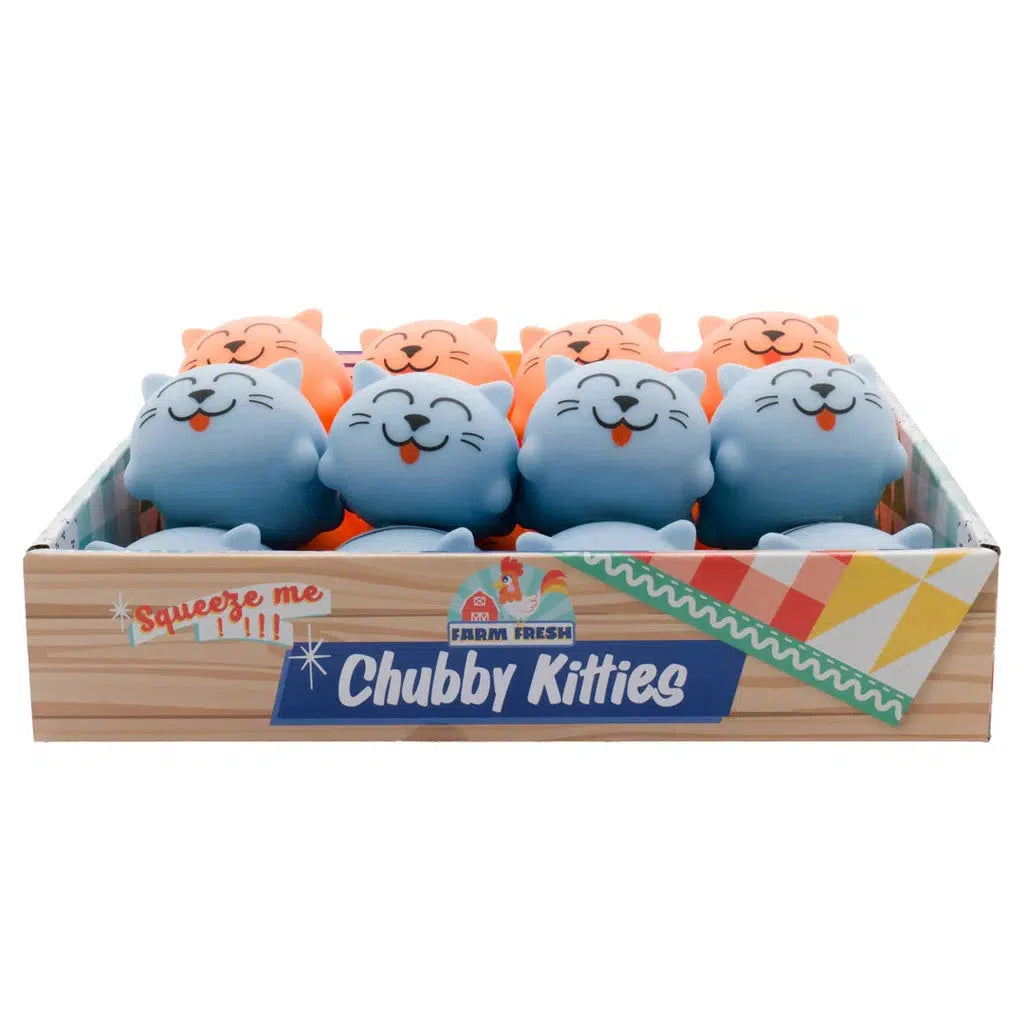 A box of delightful squishy toys shaped like chubby cats in blue and orange, perfect for squishy stress relief. The packaging proudly displays "Chubby Kitties" by Toysmith.