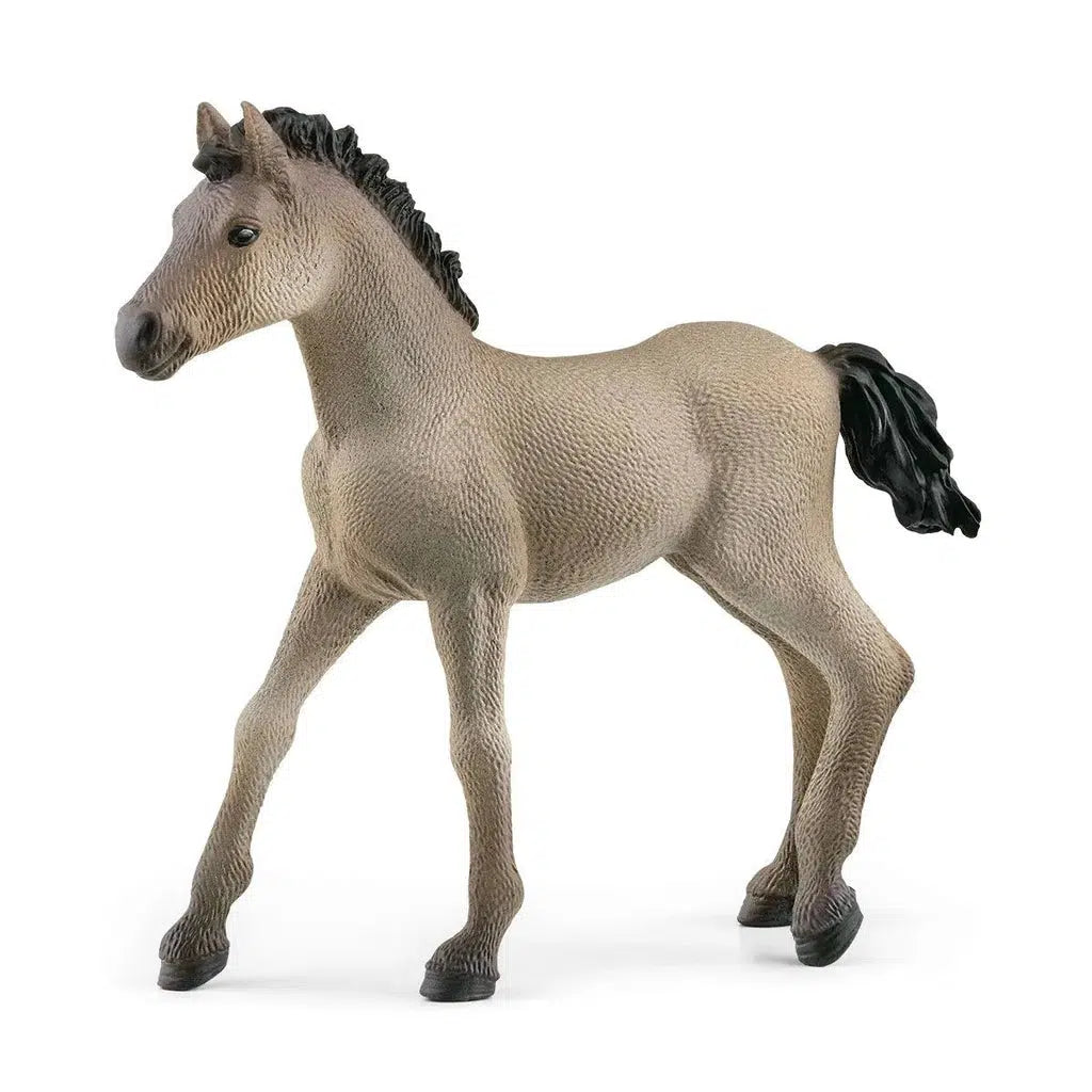 Criollo Definitivo Foal-Schleich-The Red Balloon Toy Store