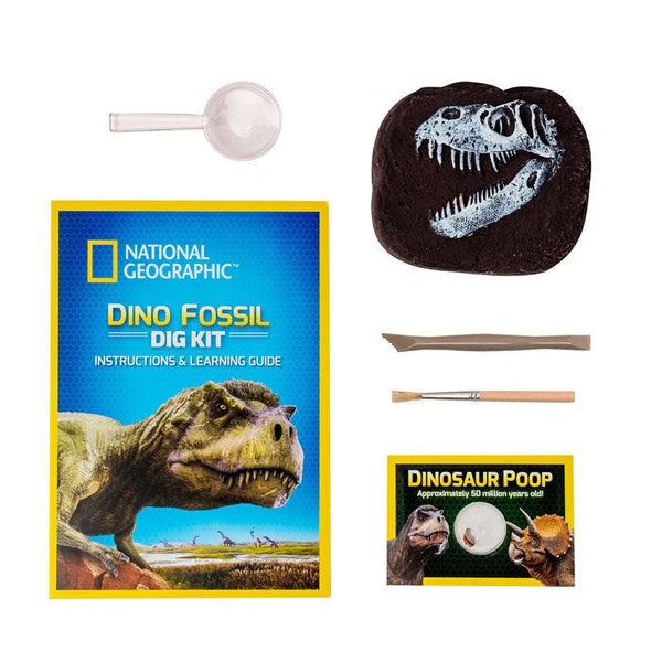 Dino Dig Kit - National Geographic – The Red Balloon Toy Store