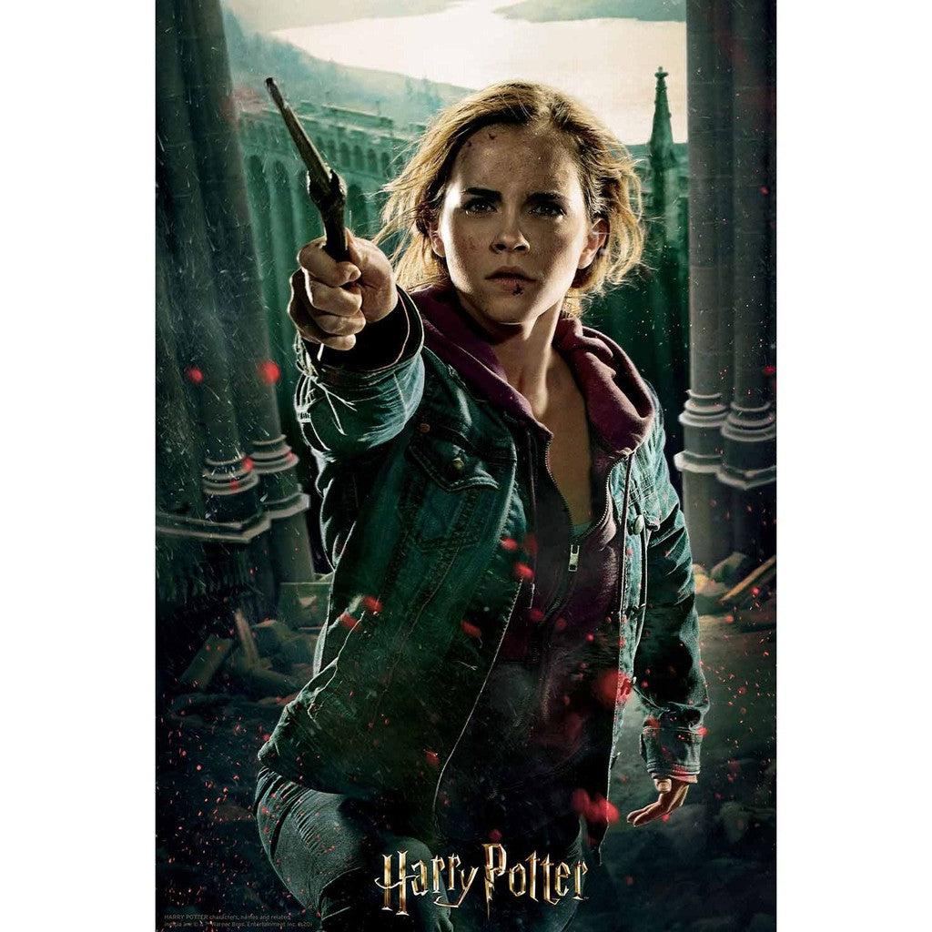 Amidst the rubble, a figure stands determinedly with a wand in hand, evoking Hermione Granger's resolve. The backdrop reveals a majestic castle and sprawling landscape