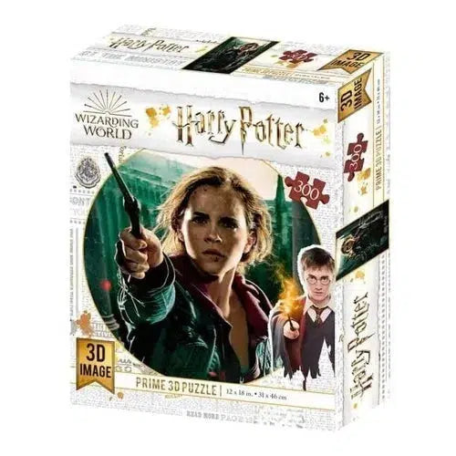 Harry Potter 300-piece 3D puzzle box featuring Hermione Granger and Harry Potter, for ages 6 and up.