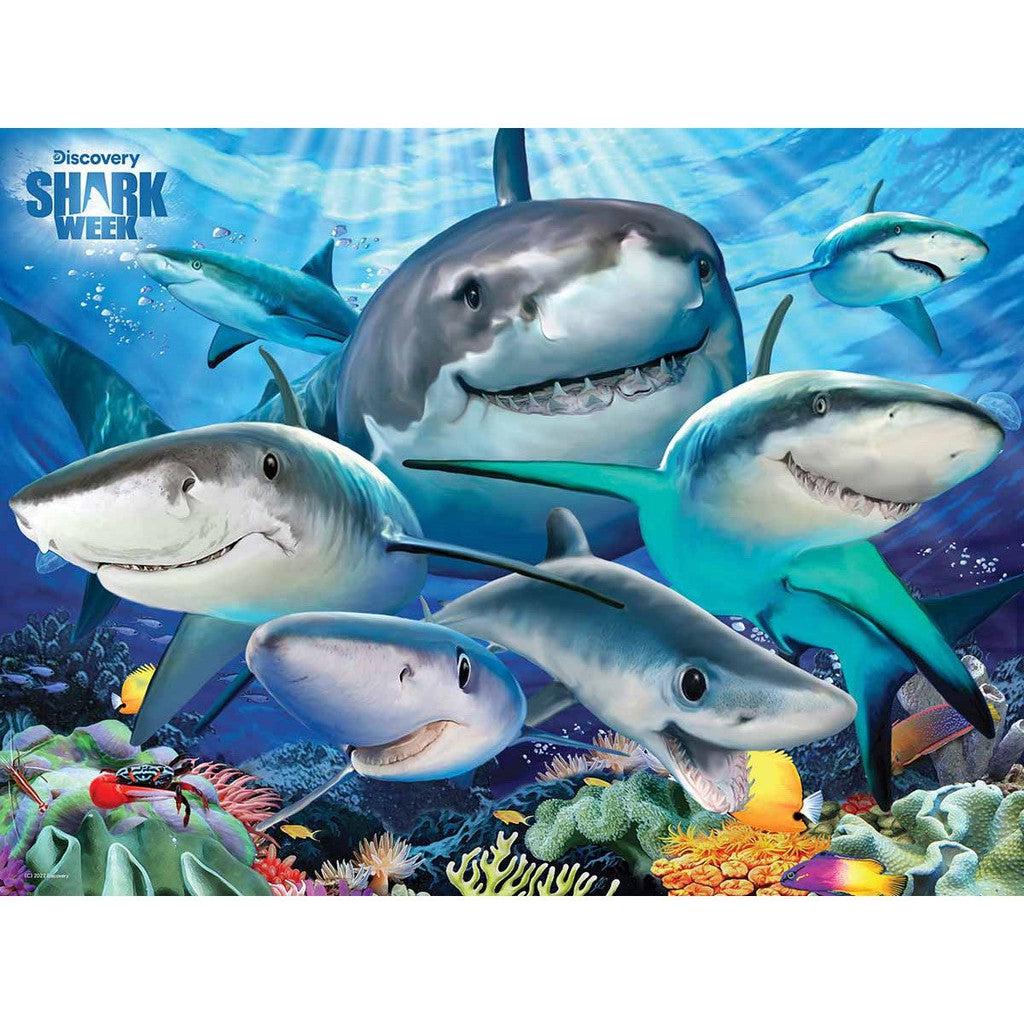 Illustration of various sharks swimming in an underwater scene with colorful coral and fish, a vibrant Shark Selfie moment.