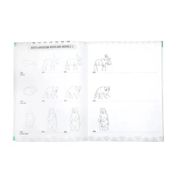 A sketchbook page features partially drawn wild animals labeled moose, raccoon, and black bear. On the right side, sequential steps guide you in capturing each creature's essence, offering a glimpse into their natural habitat through art.