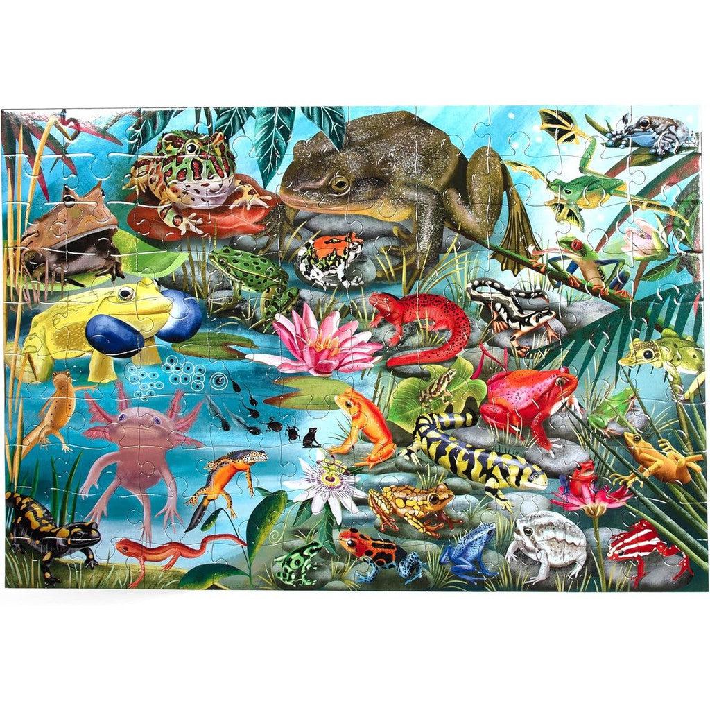 Explore a colorful assortment of various amphibians and reptiles, artfully depicted in an eeBoo-designed puzzle. Set in a natural setting adorned with lush plants and tranquil water, this Amphibians Puzzle brings nature's vibrancy to life.