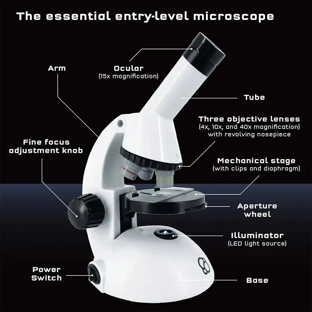 Features of the various parts of the microscope