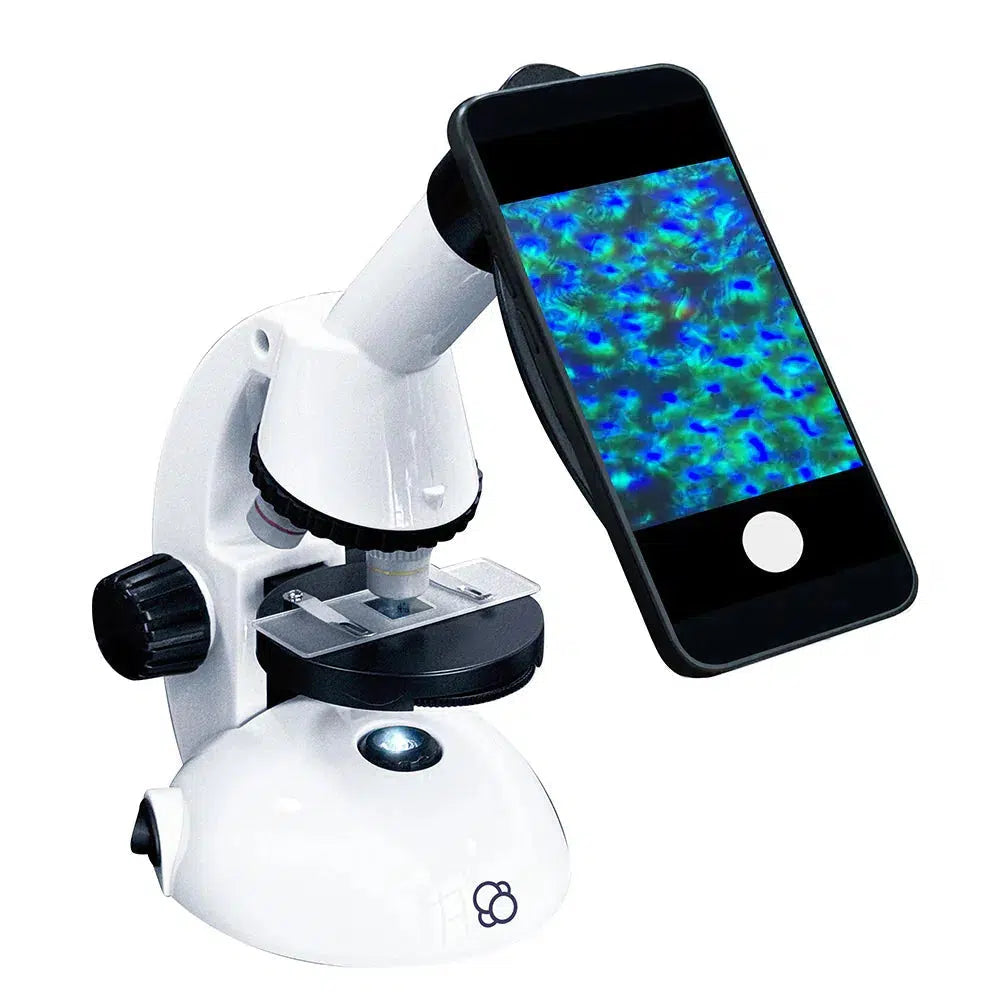 Microscope with smartphone adapter, smartphone showing image of sample