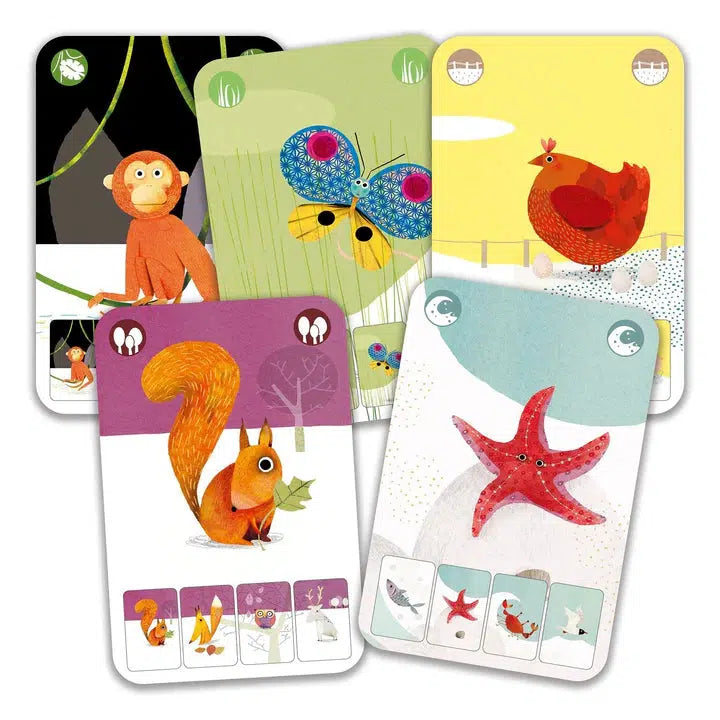 Cards from Mini Nature of cartoon animals in various habitats