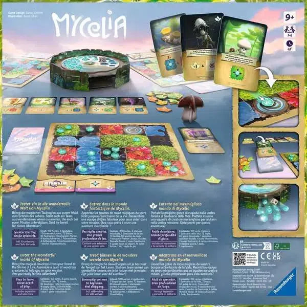 The back of the Mycelia box is blue and shows some example gameplay
