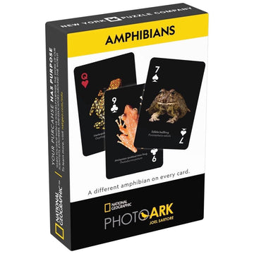 NatGeo-Amphibians-Cards-Games-New-York-Puzzle-Company_180x@2x.jpg?v\u003d1683907940