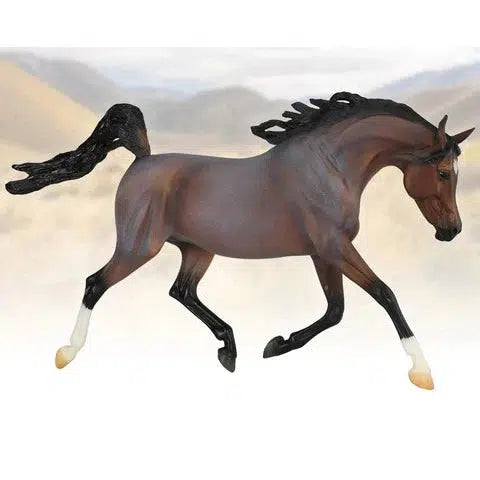 Picante the brown Arabian horse, a retailer exclusive, running