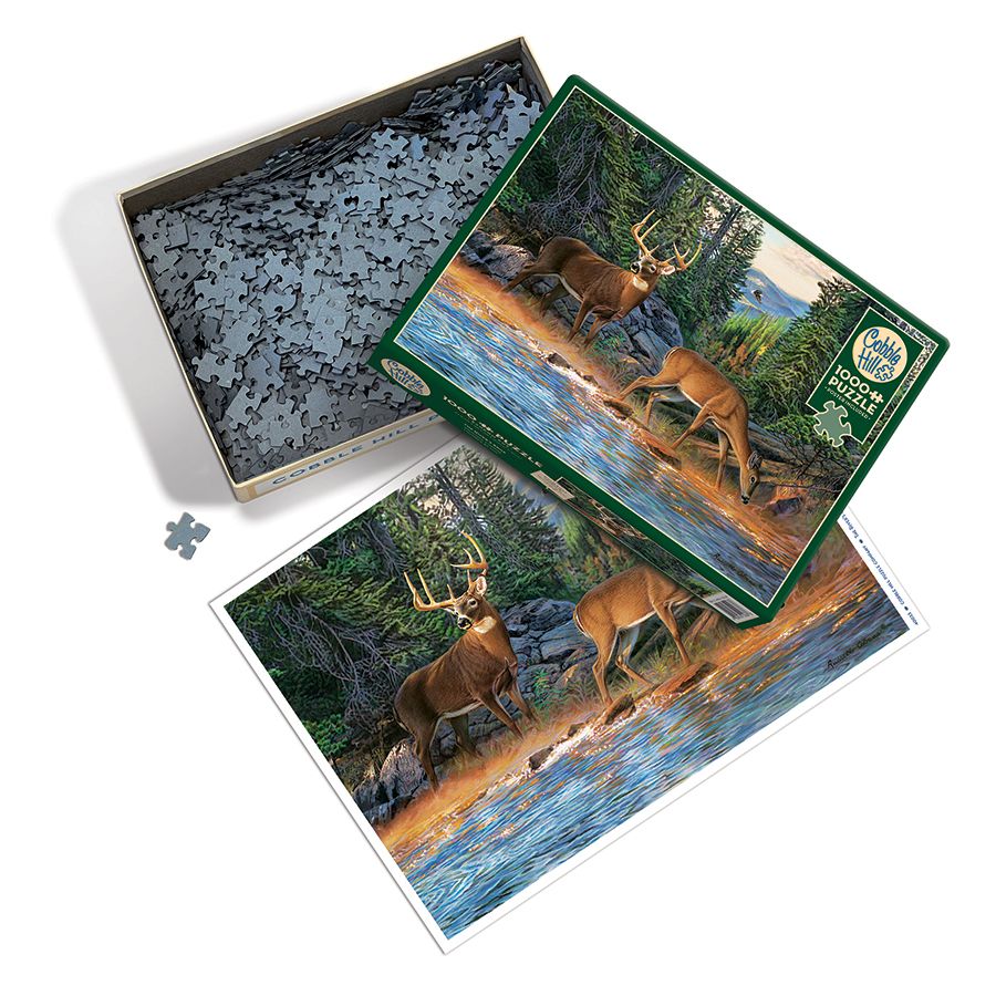 open puzzle box with included poster