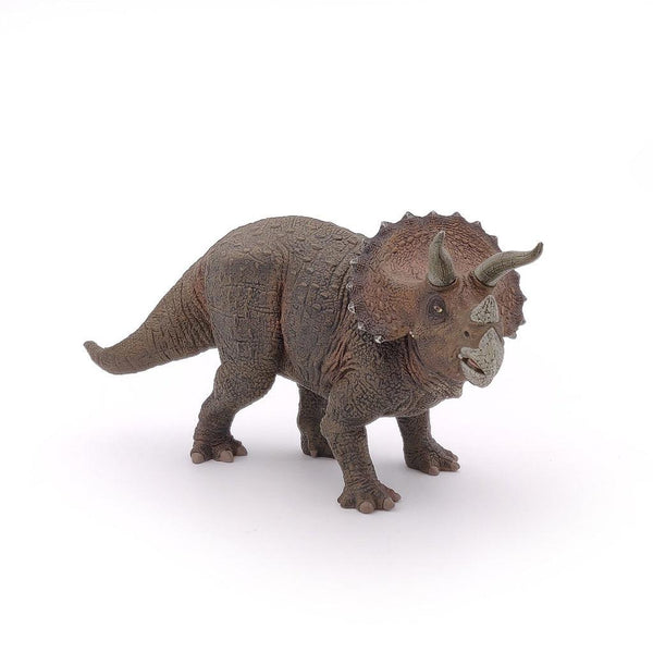 Ballon Dinosaure Triceratops Marron – Boutique Dinosaure