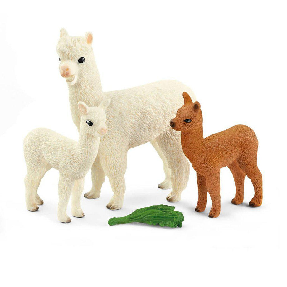 How To Care For An Alpaca Cria - Childs Play Alpaca