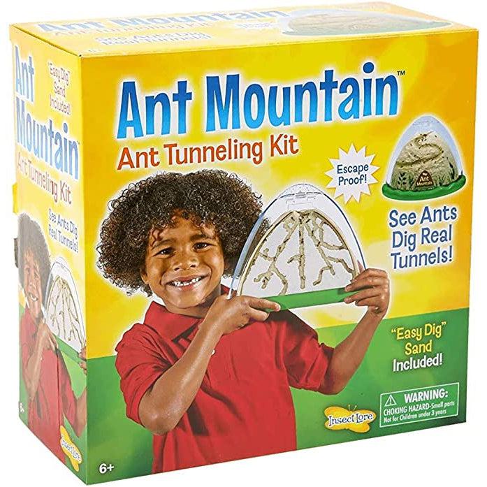 ant colonies for kids