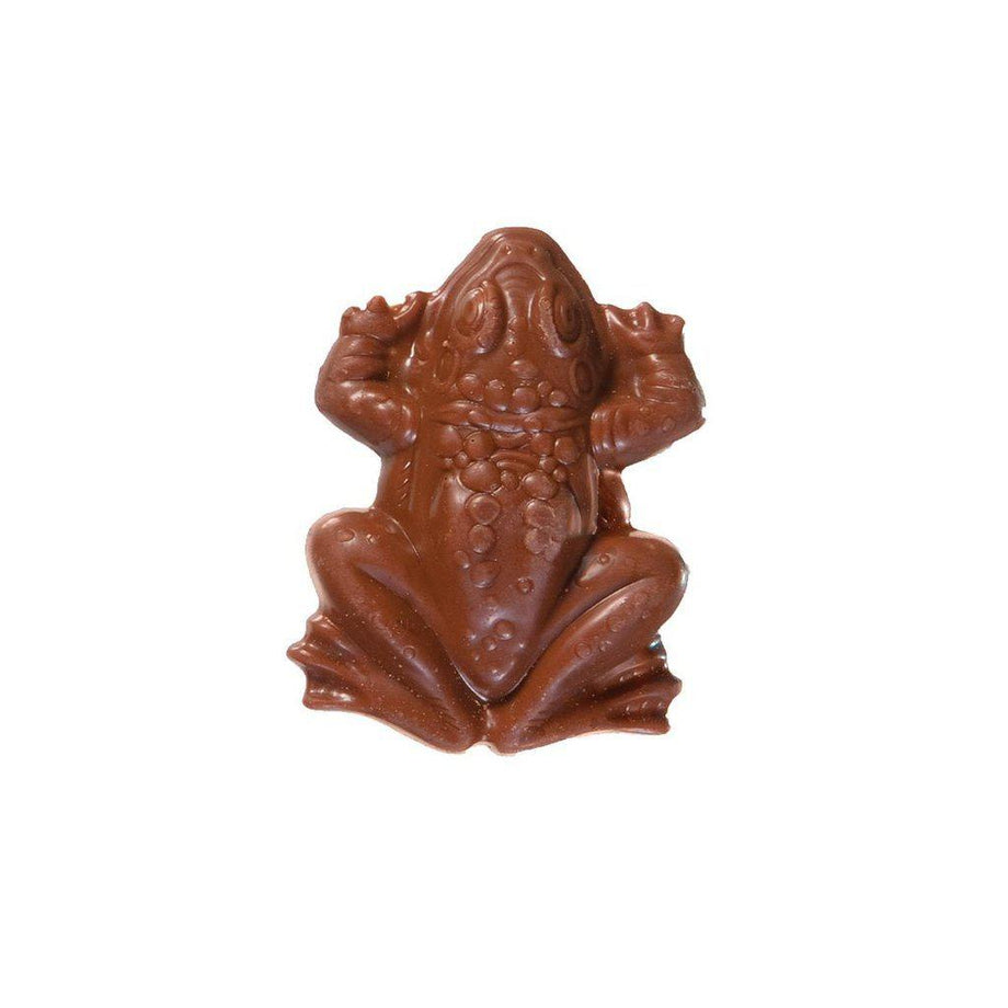 Harry Potter Chocolate Frog - Boutique Harry Potter