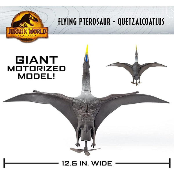 Jet-Size Pterosaurs Took Off from Prehistoric Runways