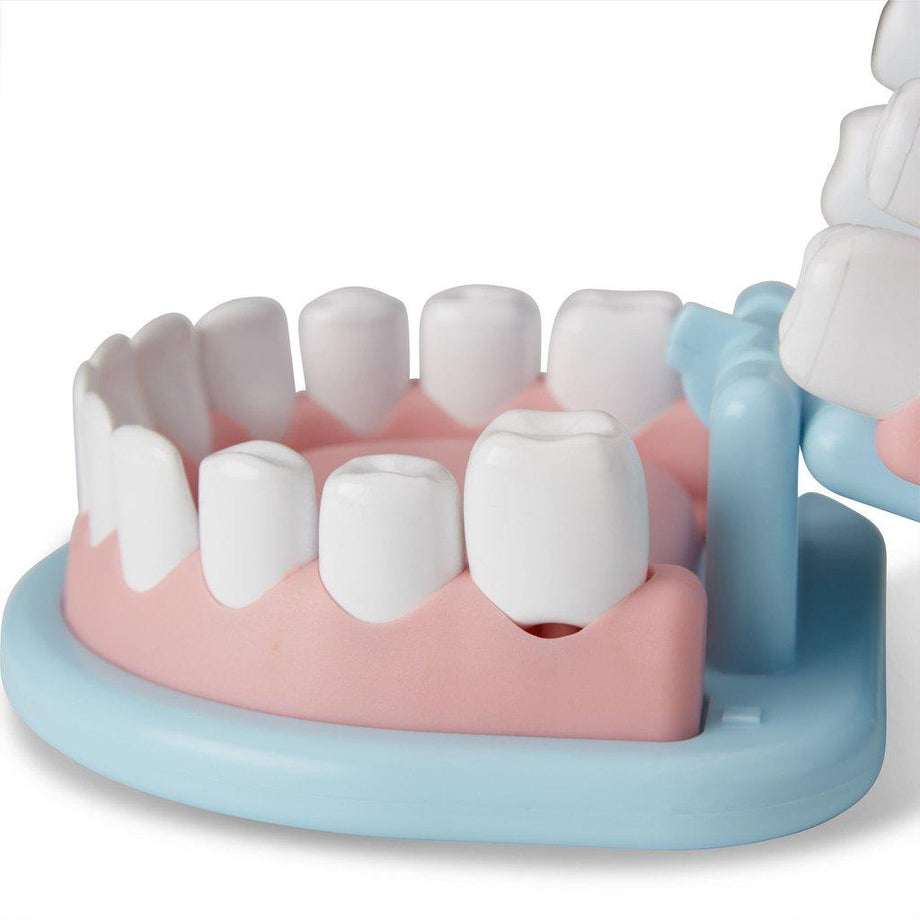 Melissa & Doug® Super Smile Dentist Play Set, 26 pc - Ralphs